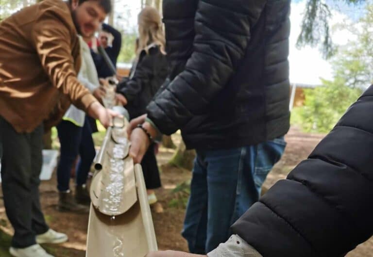 activité écologique, un team-building outil de management d'équipe