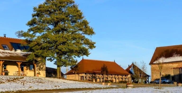 un lieu pour votre journée de cohésion d'équipe en hiver en Auvergne, dans l'Allier