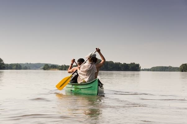 des collaborateurs travaillent leur cohésion à travers une activité de kayaking pour leur team building.